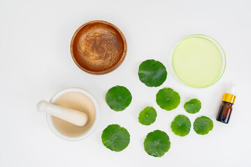 Top view glass beaker containing water and Centella asiatica decorated with erlenmeyer flask and round podium