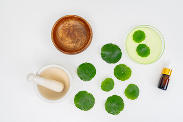 Top view glass beaker containing water and Centella asiatica decorated with erlenmeyer flask and round podium