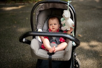Portrait of newborn baby girl in baby stroller