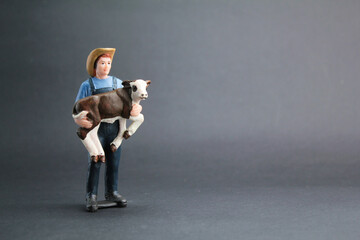 a small labor cattle farmer carrying a calf. cattle breeder concept. agricultural concept. cattle...