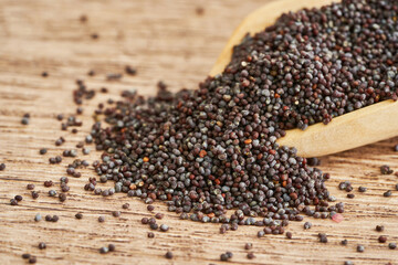 close up black poppy seed in wood scoop on wooden table background. black poppy seed in wood background. black poppy seed food background                          
