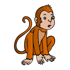 monkey vector illustration