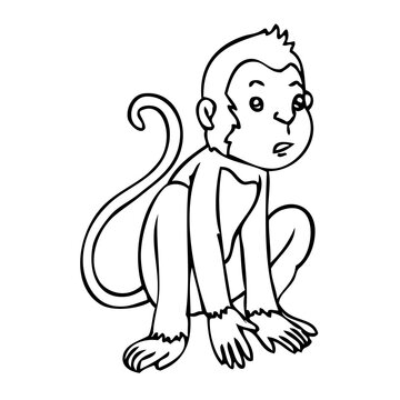 monkey sketch vector illustration