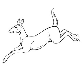 deer outline vector illustration
