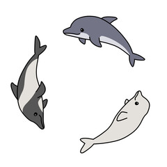 輪になって泳ぐいろんなイルカ