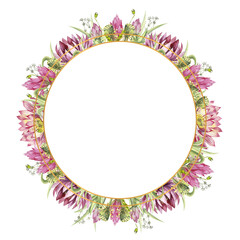 A round frame with flowers of water lilies and wild forest grasses. Watercolor illustration on a white background