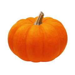 ハロウィンのかぼちゃ イラスト ジャックオランタン リアル 