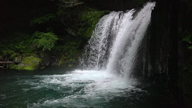 Slow motion footage of a waterfall in a forest (Shokei-daru, Izu, Japan)