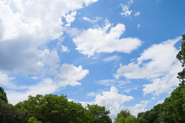 Obraz premium Summer, bright blue sky, sunny