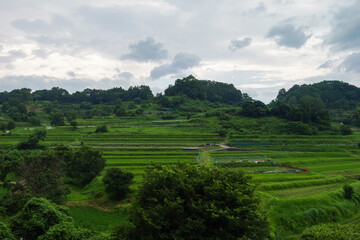 Scenery of terraced rice fields in a farming village, summer