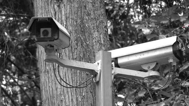 作動する監視カメラ
