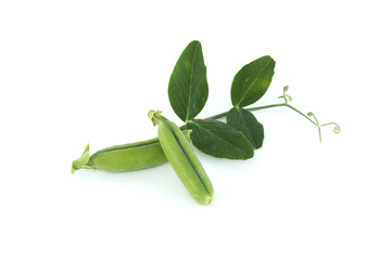 Close up of pea pod with leaves isolated on white