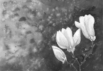 Black and white floral landscape. Magnolia flowers on textured spotted background. Artistic spring background. Watercolor painting and soft oil pastel on textured paper. - 626743237