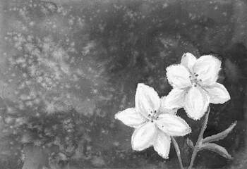 Black and white floral landscape. Lily flowers on textured spotted background. Artistic background. Watercolor painting and soft oil pastel on textured paper. - 626743268