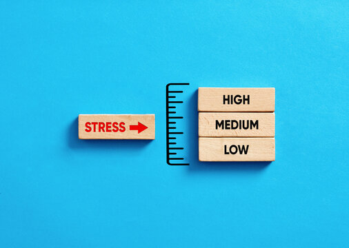 Stress level analysis and assessment