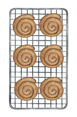 Snail buns with cinnamon on the oven grate. Homemade baking. Watercolor illustration on a white background. Illustration for menu, cafe, restaurants, recipe book home