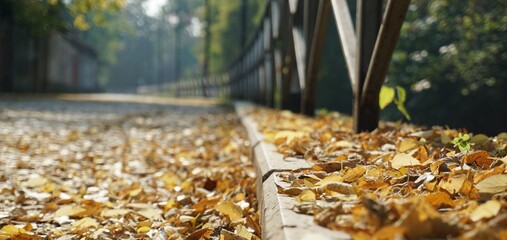 close up of autumn leaves on a street