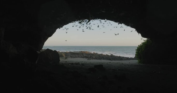 Fruit bat cave with ocean view in Bali