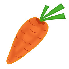 carrot isolated on white