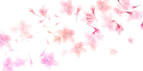 Fototapeta na wymiar 桜　和柄　春　背景