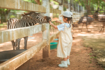 cute baby girl in dress and hat with activity feed food zebra with happy time on outdoor