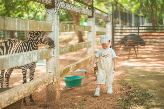 cute baby girl in dress and hat with activity feed food zebra with happy time on outdoor