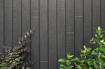 黒い壁と植物