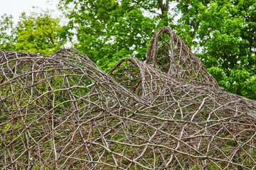 Oxygen artwork created by Akunzo artists Karola Pezzaro and Aris De Bakker with natural vines