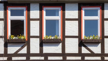Flowers on the facade of a half timbered house in Helmstedt, Germany
