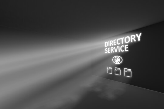 DIRECTORY SERVICE rays volume light concept 3d illustration