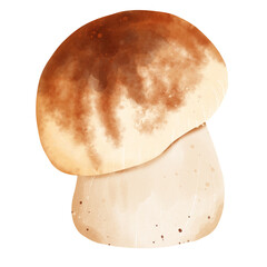 Mushroom 