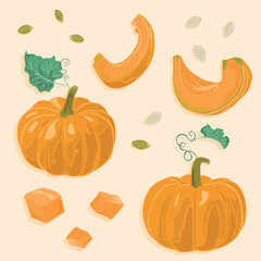 Pumpkin vector icons set. Autumn vegetables. Pumpkin whole and cut into pieces with pumpkin seeds and leaves.