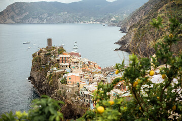 View on Cinque Terre, Vernazza, from behind a lemon tree