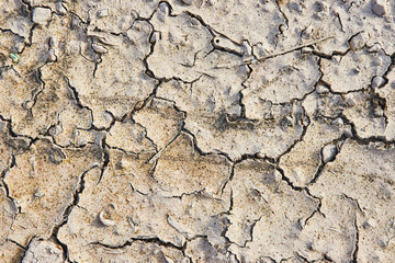 Cracked, caked dirt, background asset, jagged lines, lightning like etchings in ground