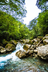 Chengdu City, Sichuan Province - Back Mountain of Qingcheng Mountain