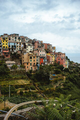 Fototapeta na wymiar Cornilia, Cinque Terre