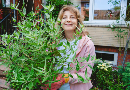 Smiling Mature Woman With Sage Plant Standing In Front Of House