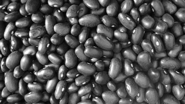 Black turtle beans are not only delicious but also highly nutritious. They are an excellent source of plant-based protein, providing essential amino acids, making them an important protein source
