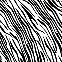 Zebra stripe pattern, illustration.