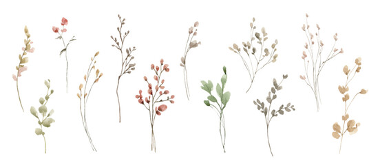 Watercolor vector set of fall branches isolated on a white background. - 626803836