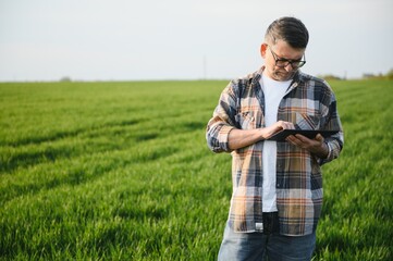 Portrait of senior farmer standing in green wheat field.