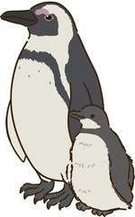 ケープペンギンの親子