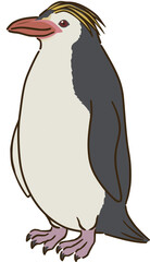 ロイヤルペンギン