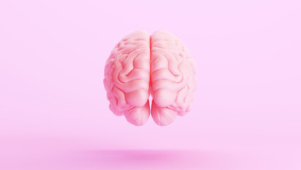 Pink brain anatomy mind intelligence medical organ science pink background rear view 3d illustration render digital rendering