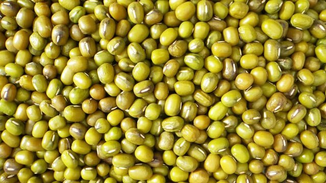Captivating macro video of Mung bean seeds using a probe lens. Witness the intricate textures and vibrant hues of these nutritious legume wonders. Food and grain concept. Cereals background
