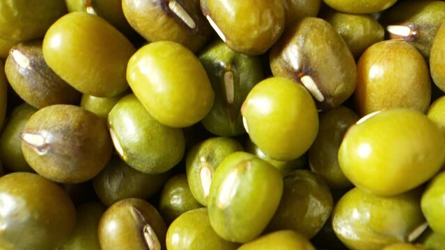 A macro video with a probe lens can be both mesmerizing and educational, allowing viewers to appreciate the intricate beauty and complexity of mung bean seeds up close. Mung beans background
