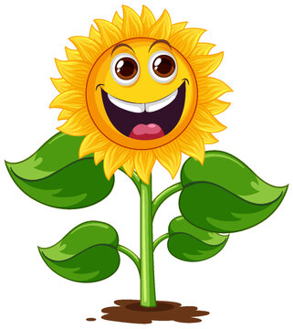 Sunflower plant cartoon isolated