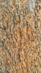 texture of logs