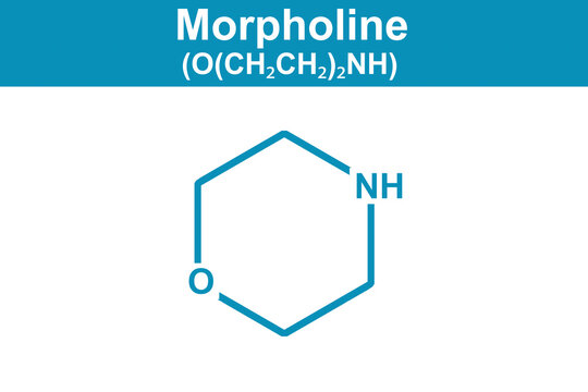 Chemistry illustration of Morpholine O(CH2CH2)2NH in blue