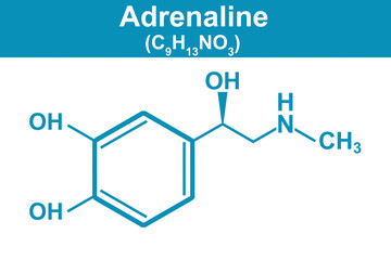Chemistry illustration of Adrenaline in blue